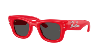 Ray-Ban Wayfarer puffer Edition swarovski RB4940B 686187 47-23 Red with strass