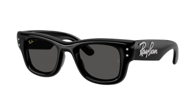 Occhiali da sole Ray-Ban Wayfarer puffer Edition Swarovski RB4940B 6864/87 47-23 Black with strass