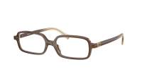 Miu Miu MU 01YV 23H1O1 51-16 Brown transparent