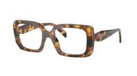 Prada PR C09V 14L-1O1 51-19 Honey Tortoise