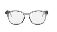 DIOR DIORBOTANICAO S5I 4800 52-19 Grijs