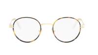 DIOR DIORCANNAGEO R1U B500 49-22 Schildpad