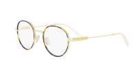 DIOR DIORCANNAGEO R1U B500 49-22 Schildpad