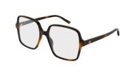 Gucci Emblem GG1994O 002 53-16 Havana
