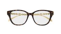 Gucci GG1972OA 003 54-16 Havana Gold
