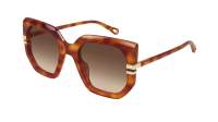 Chloé West CH0240S 007 53-23 Havana
