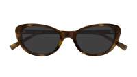 Saint Laurent Sl logo SL 822 002 52-18 Havana
