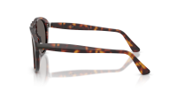 Persol PO0649NE 24/B1 54-20 Havana