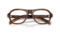 Prada PR C12V 20D1O1 54-19 Juniper Tortoise