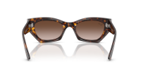 Ray-Ban Zena Bio-based RB4430 135913 52-22 Havana