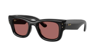 Occhiali da sole Ray-Ban Wayfarer puffer RB4940 601/69 47-23 Black
