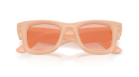 Ray-Ban Wayfarer puffer RB4940 687584 47-23 Solid nude 