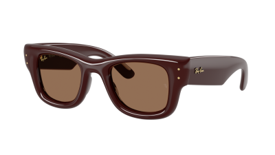 Sunglasses Ray-Ban Wayfarer puffer RB4940 687773 47-23 Dark Brown 