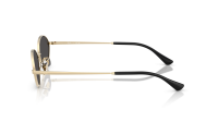 Ray-Ban Kai Bio-Based RB3757 9213/87 59-15 Oro