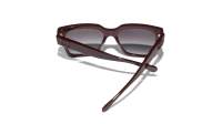 CHANEL CH5557 1802S6 54-17 Bordô