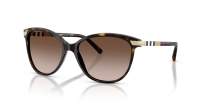 Burberry BE4216 300213 57-16 Schildpad