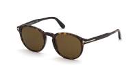 Tom Ford Dante FT0834/S 52J 52-21 Schildpad