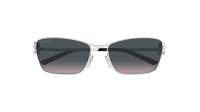 Gucci Emblem GG2045S 002 58-17 Argent