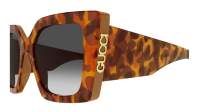 Gucci GG2039S 004 51-19 Havane