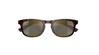 Maui Jim Aliali H342-10 / MJ0342S 002 50-21 Dark havana