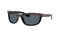 Ray-Ban Balorama RB2489 1441/R5 62-19 Havana on black