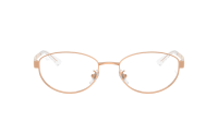 Ray-Ban RX3774VD RB3774VD 3094 55-19 Rose Gold