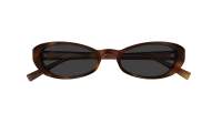 Saint Laurent Sl logo SL 871 SUE 004 51-18 Havanna