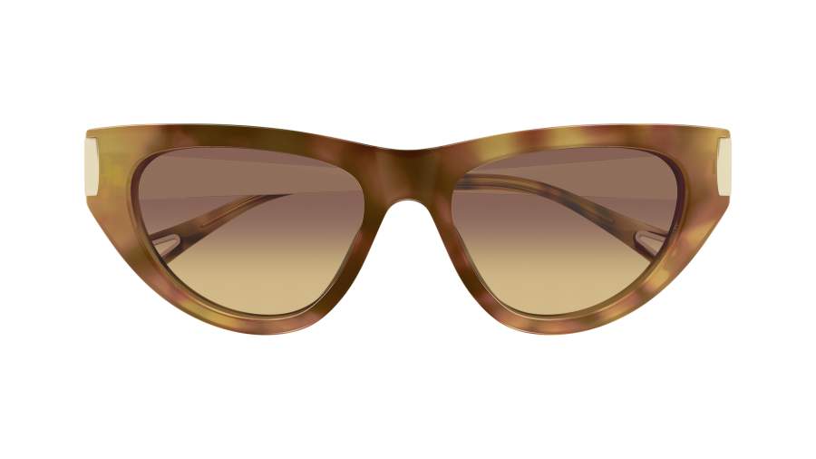 Chloe Havana Cat Eye Sunglasses Brown Tortoiseshell Frames  **SCRATCHED LENSES** CH0290S Chloé Panthos Sunglasses 003 Havana - eye-oo.com main image 4