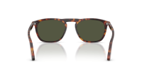 Persol PO3391S 24/31 55-19 Havana