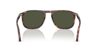 Persol PO3392S 24/31 57-19 Havana