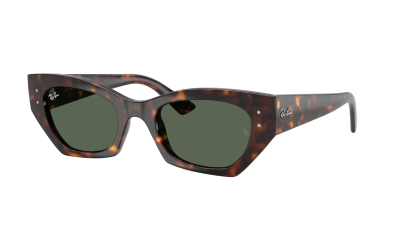 Sunglasses Ray-Ban Zena Bio-based RB4430 1359/71 49-22 Havana