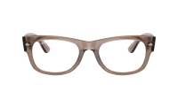 Ray-Ban Mega wayfarer 2 RX0832V RB0832V 8457 52-21 Transparent taupe beige