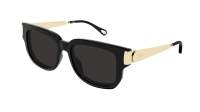 Chloé Holly CH0351S 001 54-16 Noir