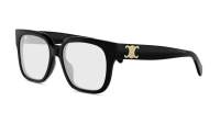 CELINE Triomphe CL50172I 001 54-17 Black