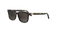 DIOR PETIT CD S2I 20F1 53-16 Tortuga