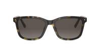 DIOR PETIT CD S2I 20F1 53-16 Schildpad