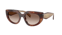 Prada PR D02S 00K10S 53-20 Caramel Tortoise