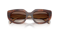 Prada PR D02S 00K10S 53-20 Caramel Tortoise