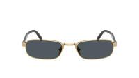 Prada PR B54S 5AK70B 54-20 Goud