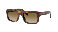 Prada PR D11S 15W20U 54-20 Classic tortoise