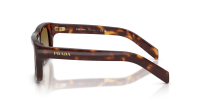 Prada PR D11S 15W20U 54-20 Classic tortoise