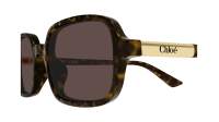 Chloé Judy CH0363S 002 53-18 Écaille