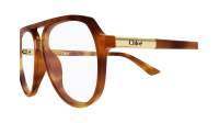 Chloé Judy CH0366O 002 57-13 Tortoise