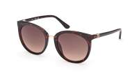 Guess GU00282/S 52F 52-19 Écaille