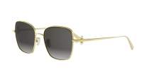 DIOR DIORTRIBALES S1U B0A1 55-18 Ouro