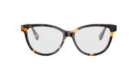 FENDI FE50145I 056 55-15 Havane