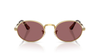 Ray-Ban Asap rocky RB3931 001/AF 54-21 Guld