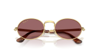 Ray-Ban Asap rocky RB3931 001/AF 54-21 Guld