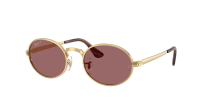 Ray-Ban Asap rocky RB3931 001/AF 54-21 Guld