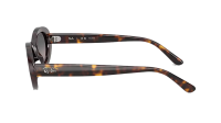 Ray-Ban RB2223 902/M3 54-19 Havana